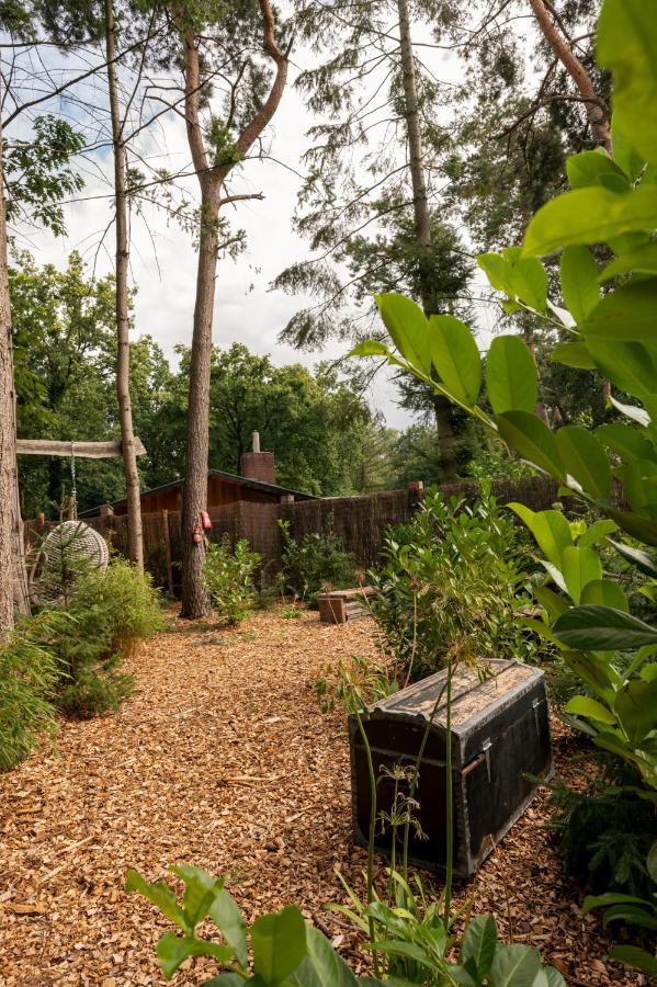 Zen-bungalow No 4 Met Sauna En Hottub Hébergement de vacances *